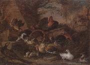 Still life of fowl in a farmyard,with a cat stealing a bantam chick
